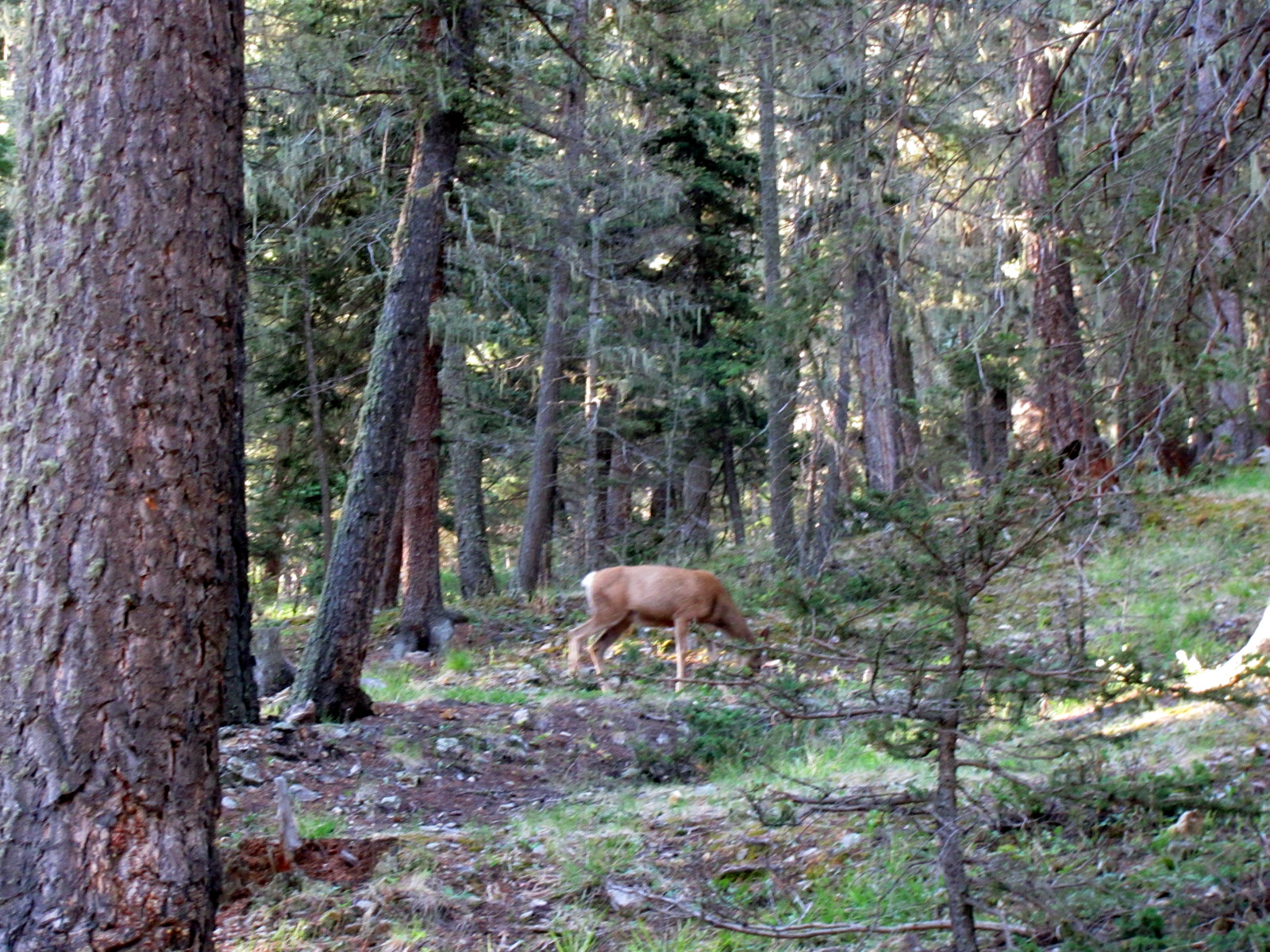 2010 07 20 vacation 263