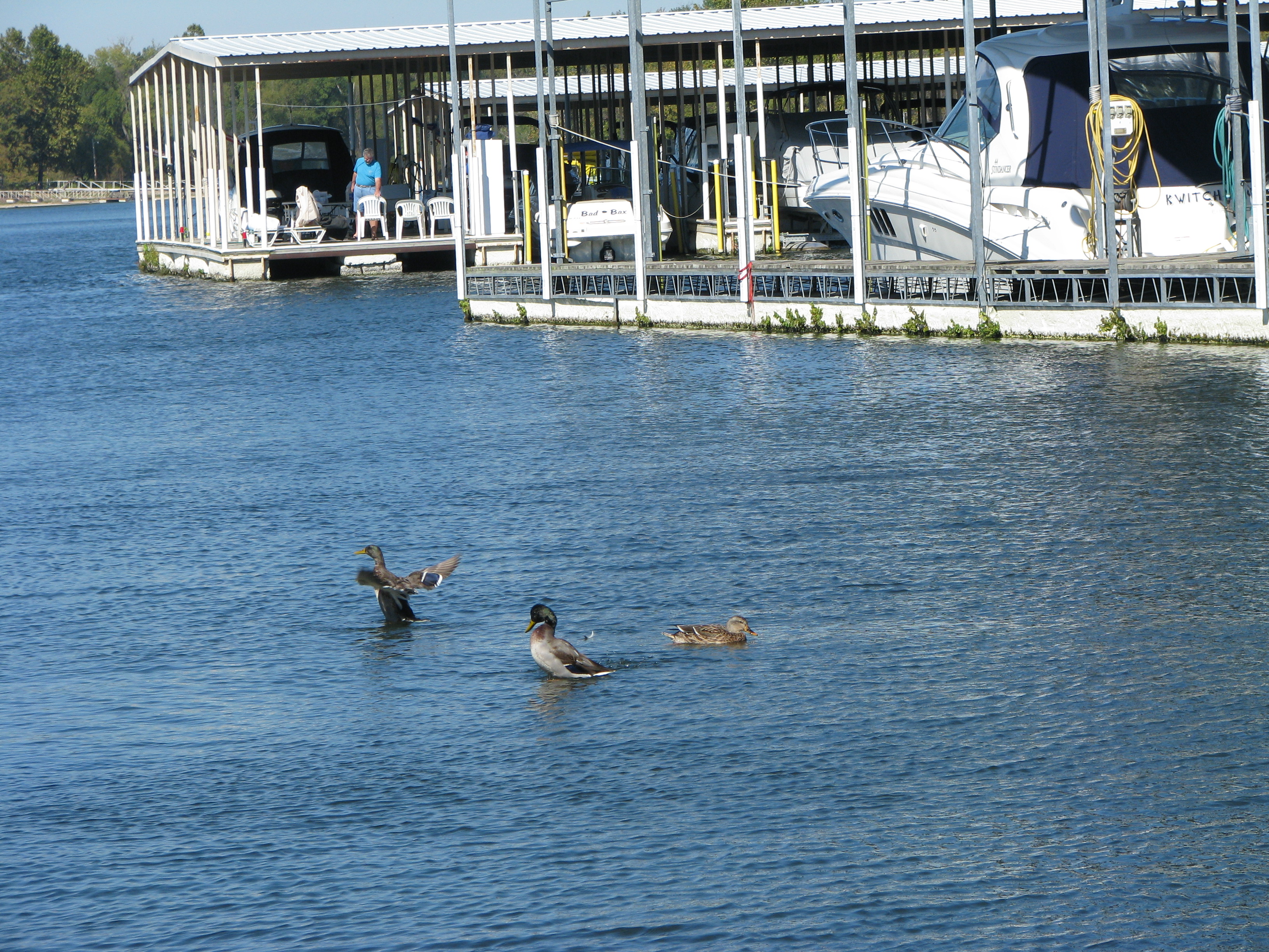 2010 10 grandlake (52)
