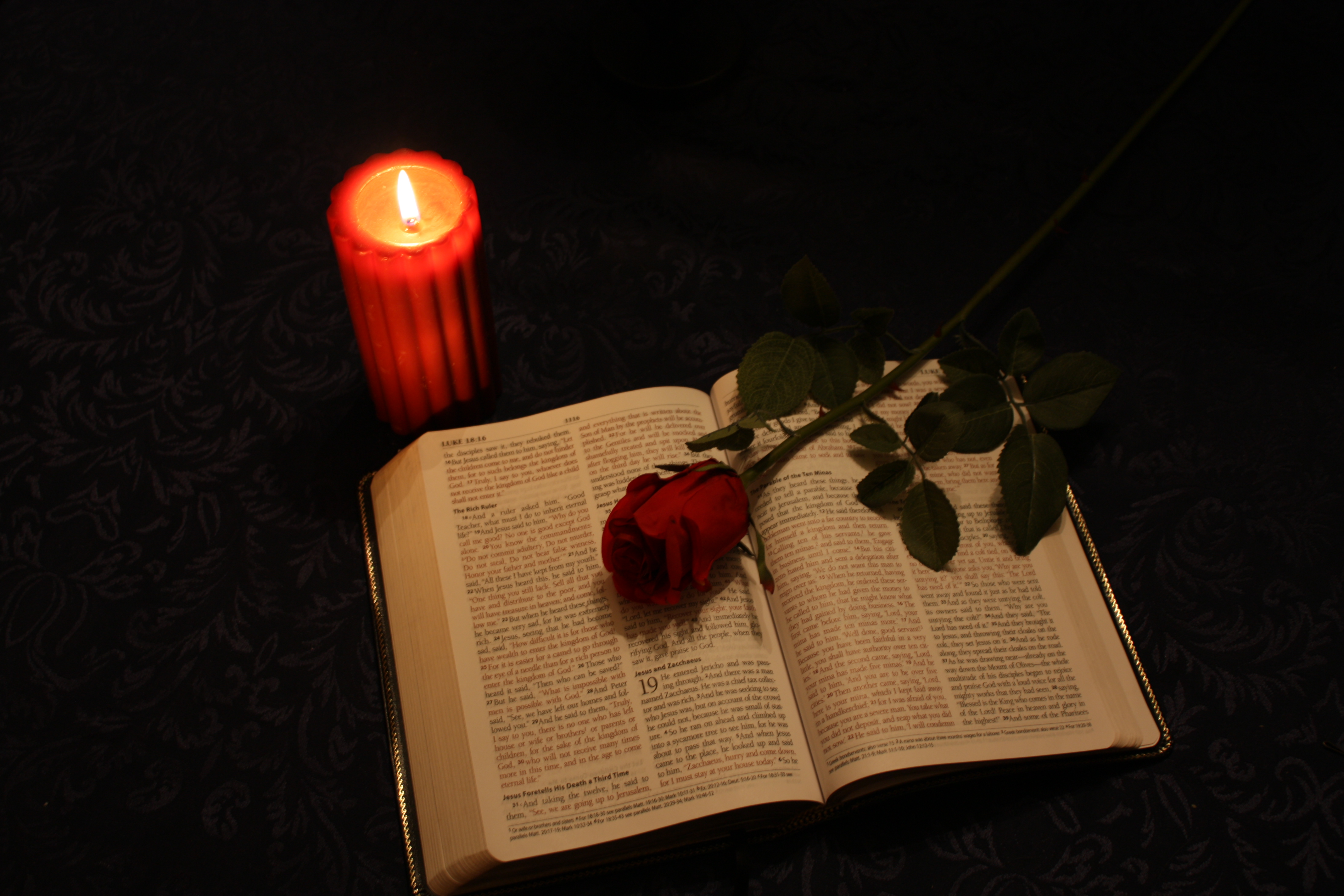 bible and rose poetry